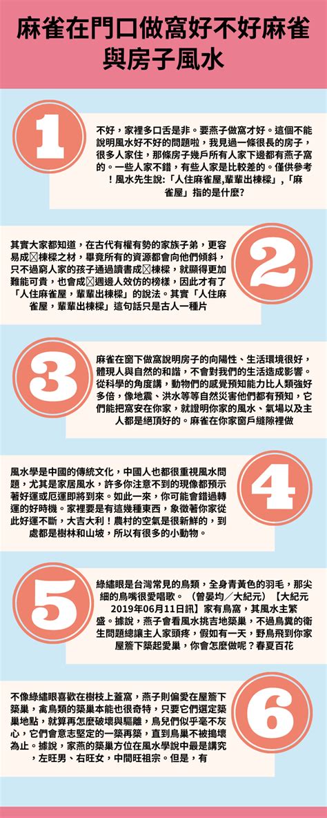 麻雀來家裡|【麻雀在家門口搭窩風水】麻雀在家門口搭鳥窩吉利嗎 